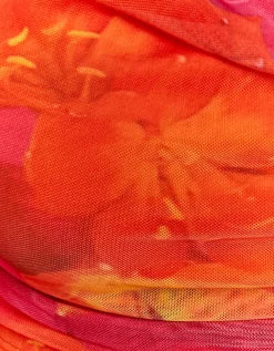 Crop Top en Mesh avec Imprimé Floral^Tally Weijl Hot